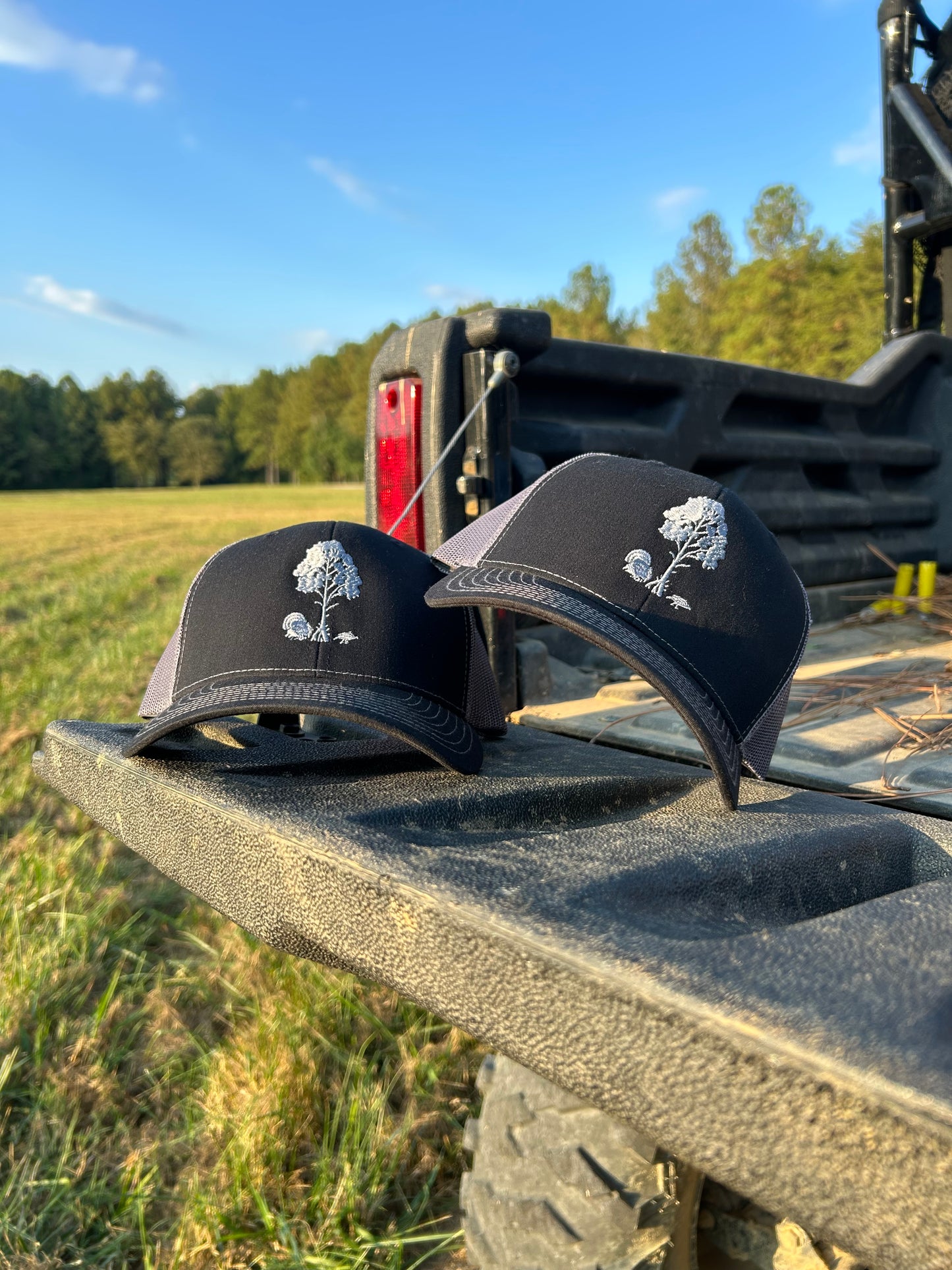 “Midnight Rider”