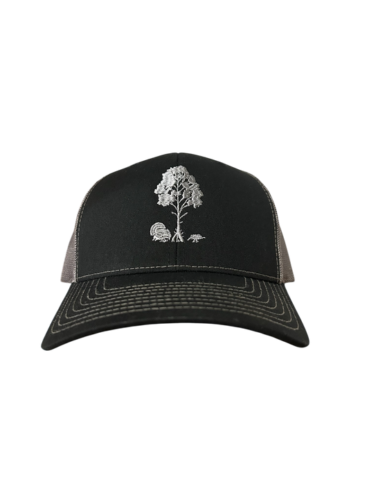 “Midnight Rider”