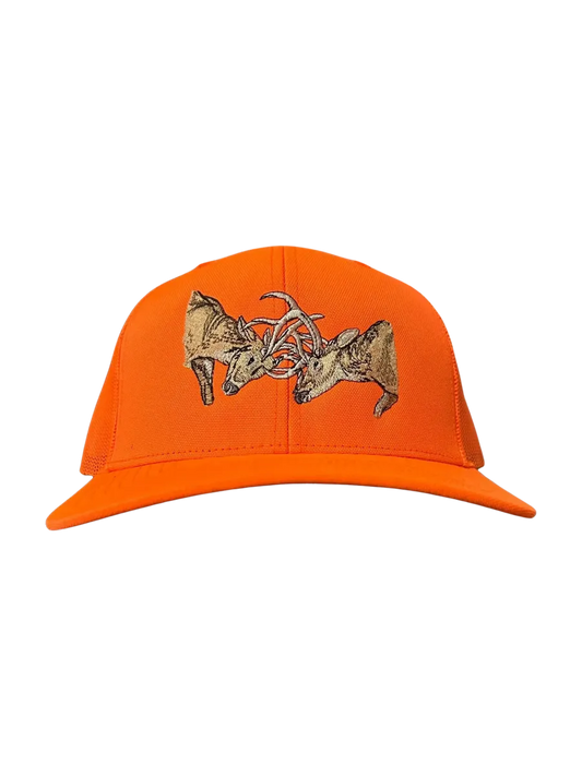 Fighting Bucks Orange Blaze